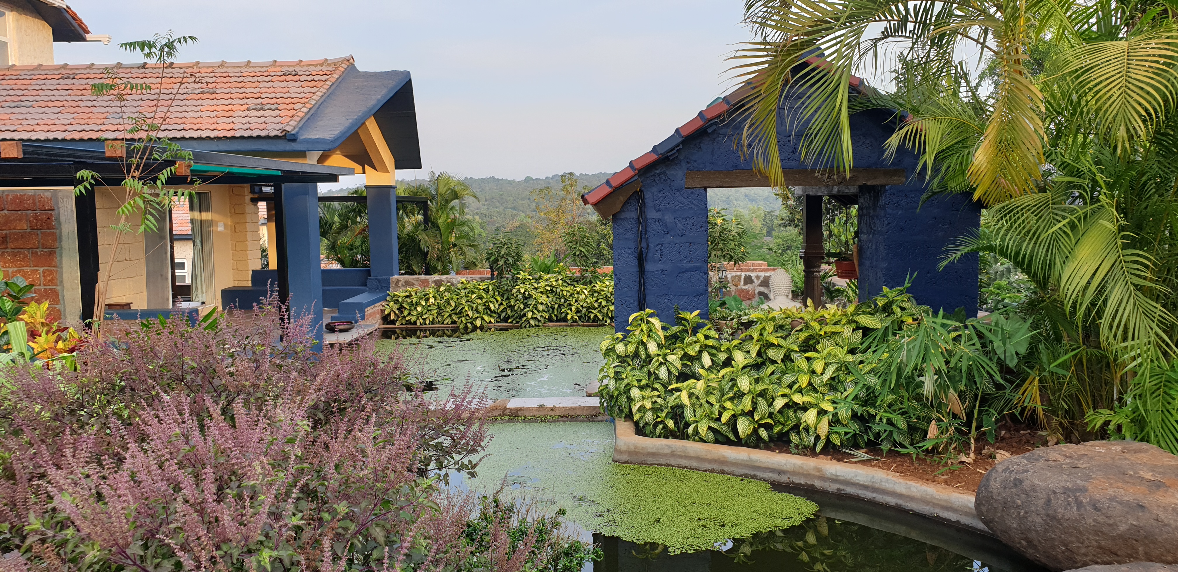 Privacy Policy and terms of Service